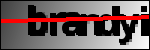 Текст для распознавания